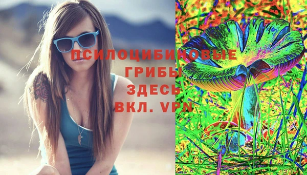 круглые Алексин