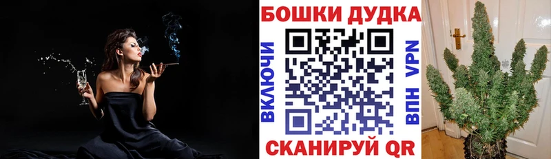 Бошки марихуана SATIVA & INDICA ОМГ ОМГ сайт Спасск